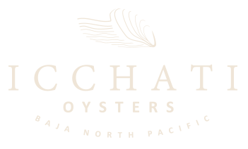 Icchati Oysters